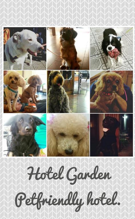 Hotel Garden Viareggio Dış mekan fotoğraf