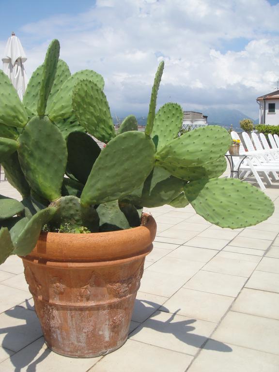 Hotel Garden Viareggio Dış mekan fotoğraf